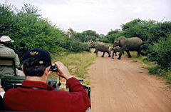 d view akeru scan564.jpg